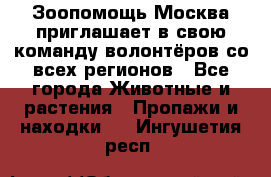 Зоопомощь.Москва приглашает в свою команду волонтёров со всех регионов - Все города Животные и растения » Пропажи и находки   . Ингушетия респ.